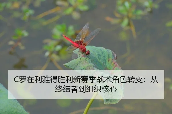 luo-zai-li-ya-de-sheng-li-xin-sai-ji-zhan-shu-jue-se-zhuan-bian-cong-zhong-jie-zhe-dao-zu-zhi-he-xin-2-979.jpg