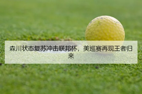 sen-chuan-zhuang-tai-fu-su-chong-ji-lian-bang-bei-mei-xun-sai-zai-xian-wang-zhe-gui-lai-3-574.jpg